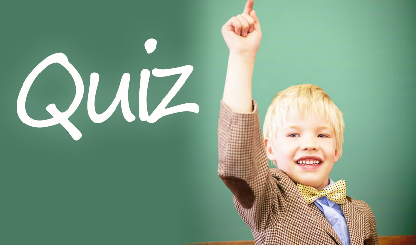 Quiz How Well Do You Understand Insurance?