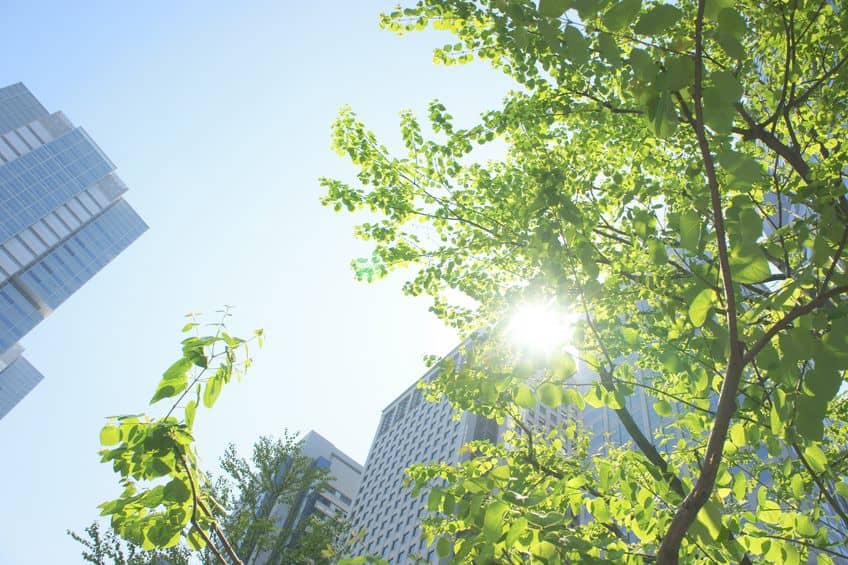 Everything You Want to Know About Public Benefit Corporations