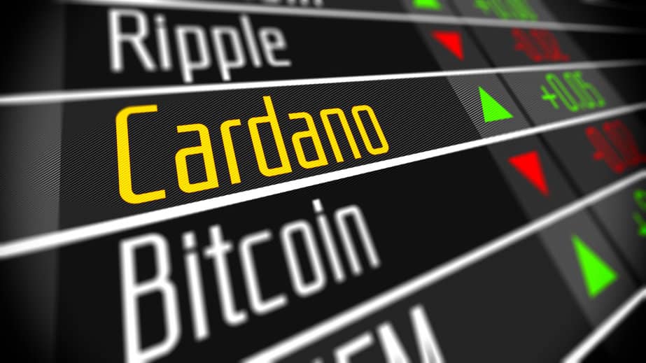 Cardano: Crypto Investors and Risk Management