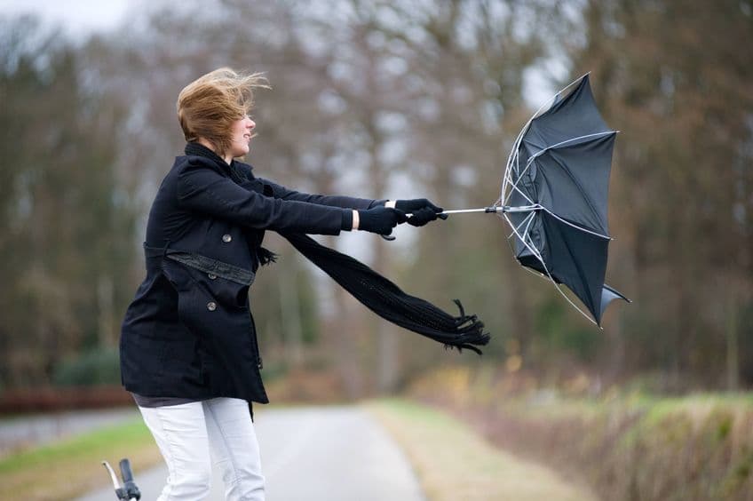Essential Insurance Policies Every Small Business Should Consider