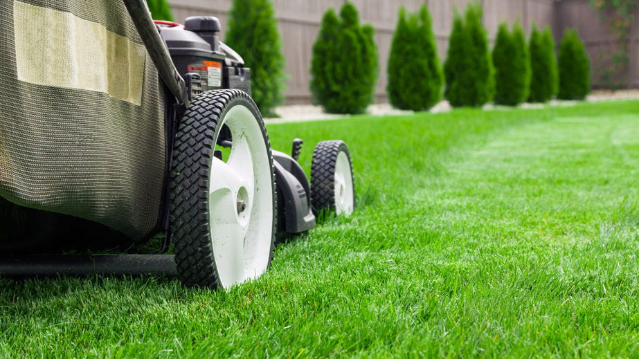 lawn maintenance business